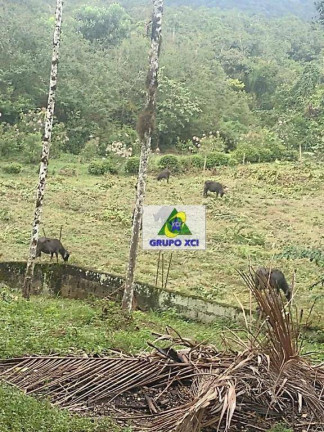 Imagem Fazenda à Venda, 13.190.400 m² em Centro - Sete Barras