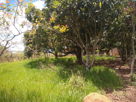 Imagem Chácara com 2 Quartos à Venda, 3.000 m² em Centro - Capela Do Alto Imagem Chácara com 2 Quartos à Venda, 3.000 m² em Centro - Capela Do Alto