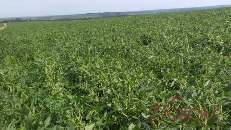 Imagem Fazenda à Venda, 13.000 m² em Jardim Paraíso - Naviraí