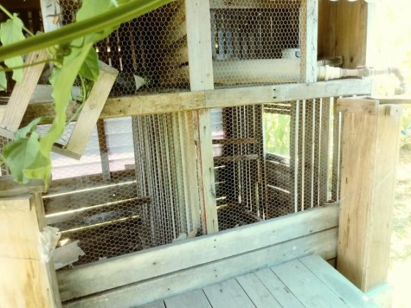 Imagem Imóvel com 2 Quartos à Venda, 99 m² em Fazenda Fialho - Taquara Imagem Imóvel com 2 Quartos à Venda, 99 m² em Fazenda Fialho - Taquara