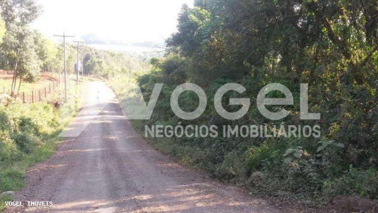 Imagem Imóvel à Venda, 5 m² em Bairro Não Informado - Ivoti Imagem Imóvel à Venda, 5 m² em Bairro Não Informado - Ivoti