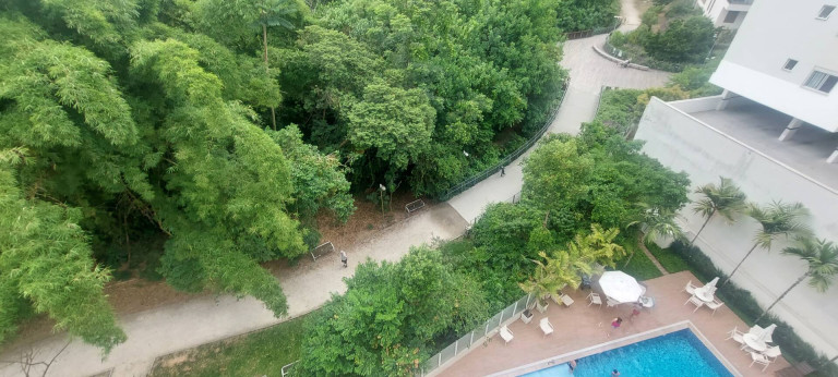 Imagem Apartamento com 2 Quartos à Venda, 71 m² em Córrego Grande - Florianópolis
