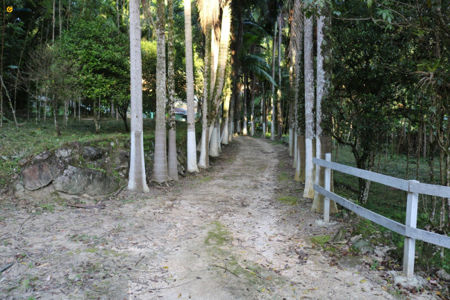 Imagem Fazenda à Venda, 72.924 m² em Sul Do Rio - Santo Amaro Da Imperatriz Imagem Fazenda à Venda, 72.924 m² em Sul Do Rio - Santo Amaro Da Imperatriz