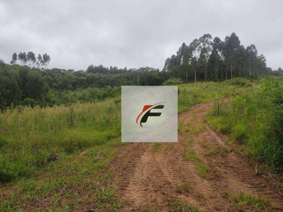 Imagem Chácara com 1 Quarto à Venda, 25.244 m² em Bacaetava - Colombo