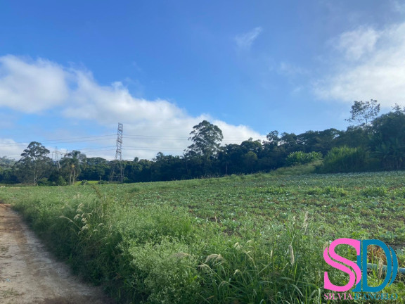 Imagem Fazenda à Venda, 194 m² em Vila Aparecida - Suzano