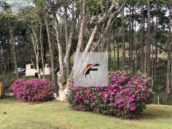 Chácara com 4 Quartos à Venda, 145.200 m² em Palmitalzinho - Quatro Barras