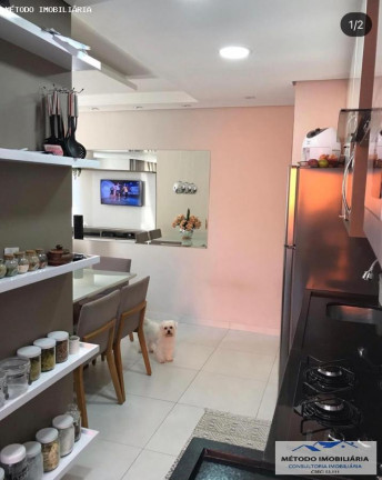 Imagem Apartamento com 3 Quartos à Venda, 66 m² em Parque Jaçatuba - Santo André