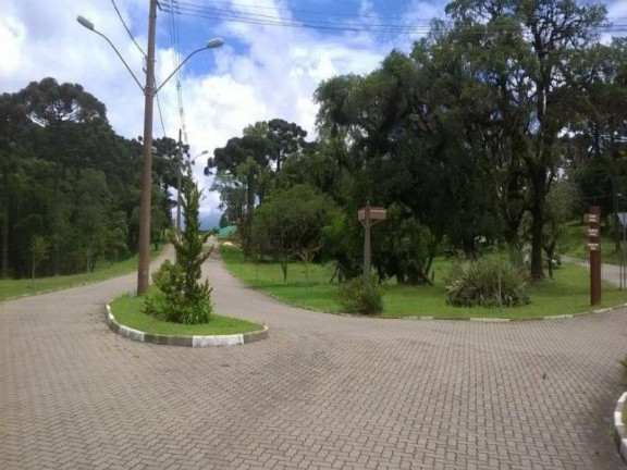 Imagem Imóvel com 3 Quartos à Venda, 288 m² em Centro - Canela Imagem Imóvel com 3 Quartos à Venda, 288 m² em Centro - Canela