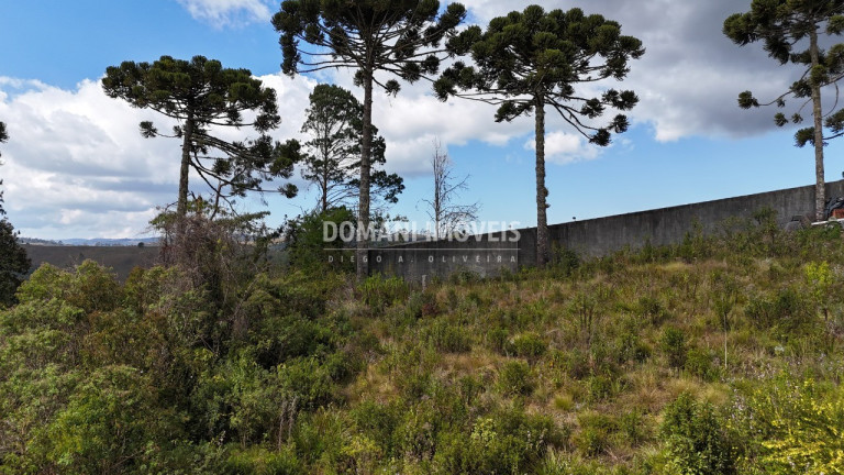 Imagem Terreno à Venda, 1.010 m² em Região Do Alto Do Capivari - Campos Do Jordão Imagem Terreno à Venda, 1.010 m² em Região Do Alto Do Capivari - Campos Do Jordão