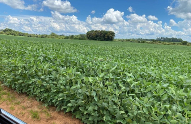 Imagem Imóvel com 5 Quartos à Venda, 5.808.000 m² em Centro - Avaré Imagem Imóvel com 5 Quartos à Venda, 5.808.000 m² em Centro - Avaré