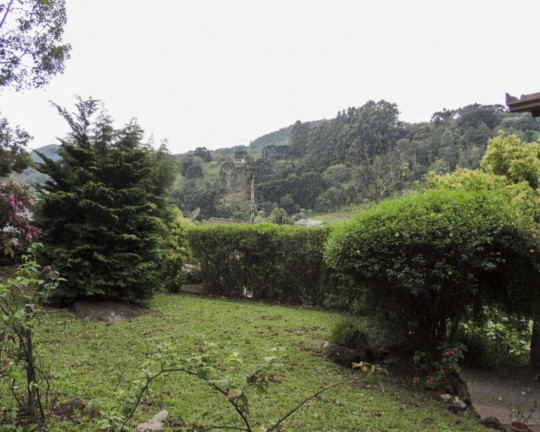 Imagem Imóvel com 4 Quartos à Venda,  em Juriti - Nova Petrópolis