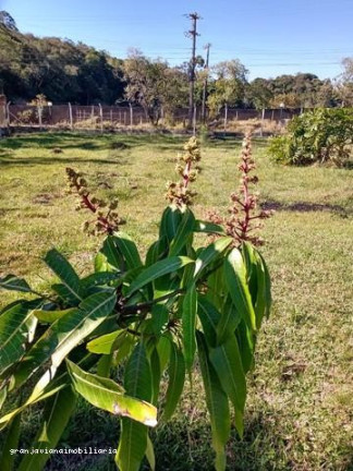Imagem Chácara à Venda, 3.007 m² em Consultar - Ibiúna