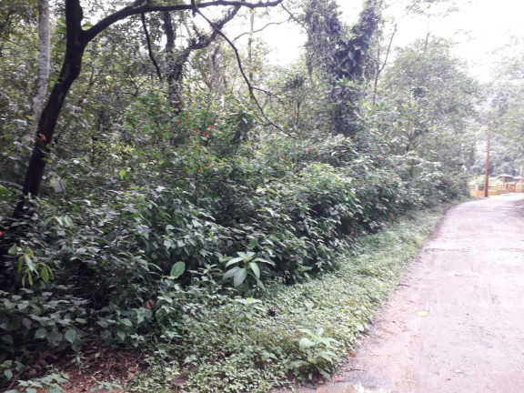 Imagem Terreno à Venda, 1.100 m² em Verde Mar - Caraguatatuba Imagem Terreno à Venda, 1.100 m² em Verde Mar - Caraguatatuba