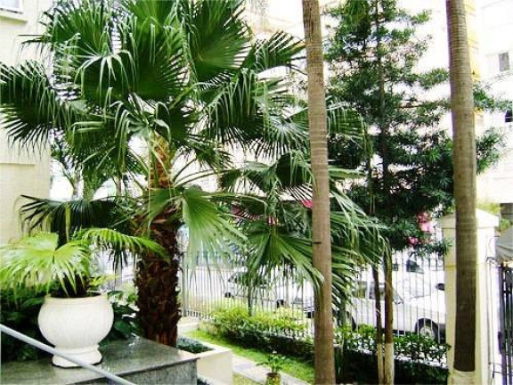 Imagem Apartamento com 1 Quarto à Venda, 40 m² em Santa Cecilia - São Paulo Imagem Apartamento com 1 Quarto à Venda, 40 m² em Santa Cecilia - São Paulo