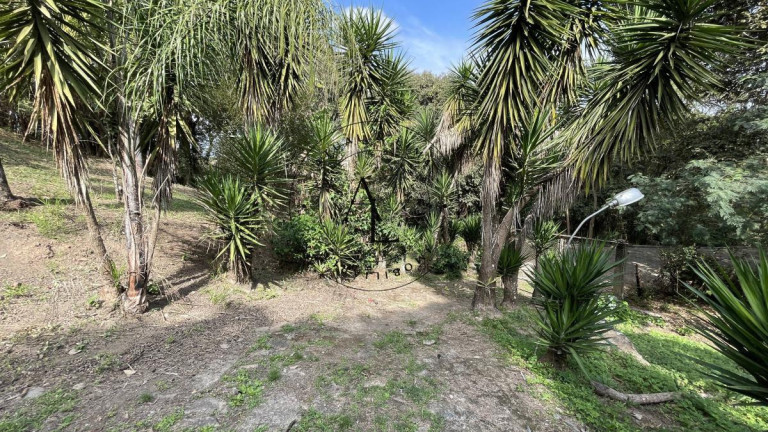 Imagem Chácara com 3 Quartos à Venda, 1.686 m² em Jardim Monte Belo - Campinas Imagem Chácara com 3 Quartos à Venda, 1.686 m² em Jardim Monte Belo - Campinas