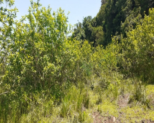 Imagem Imóvel com 1 Quarto à Venda,  em Vila Rica - Presidente Lucena