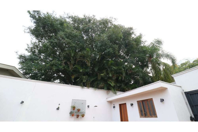 Imagem Casa com 4 Quartos à Venda, em Vila Madalena - São Paulo Imagem Casa com 4 Quartos à Venda, em Vila Madalena - São Paulo