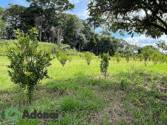 Imagem Chácara com 7 Quartos à Venda, 48.000 m² em Traviu - Jundiaí
