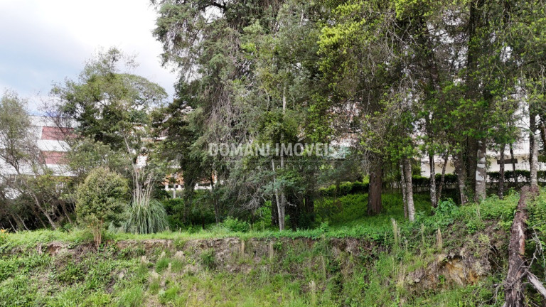 Imagem Terreno à Venda, 2.540 m² em Região De Capivari - Campos Do Jordão Imagem Terreno à Venda, 2.540 m² em Região De Capivari - Campos Do Jordão
