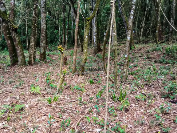 Imagem Terreno à Venda, 1 m² em Nova Capivari - Campos Do Jordão Imagem Terreno à Venda, 1 m² em Nova Capivari - Campos Do Jordão