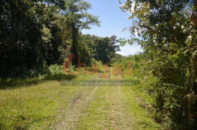 Imagem Terreno à Venda, 3.696 m² em Barranco Alto - Caraguatatuba