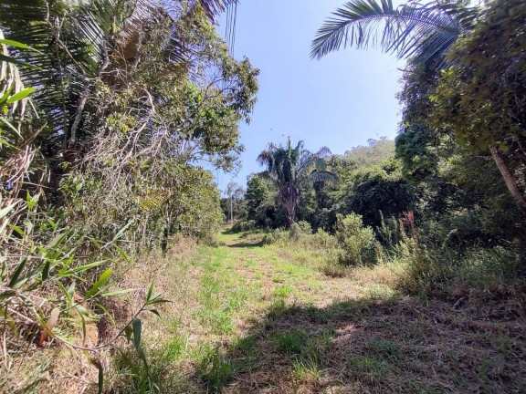 Imagem Imóvel com 4 Quartos à Venda, 194.840 m² em Ponte Nova - Teresópolis