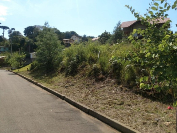 Imagem Terreno à Venda, 700 m² em Vale Verde - Nova Petrópolis Imagem Terreno à Venda, 700 m² em Vale Verde - Nova Petrópolis