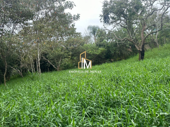 Imóvel com 3 Quartos à Venda, 4.000 m² em Zona Rural - Rio Manso