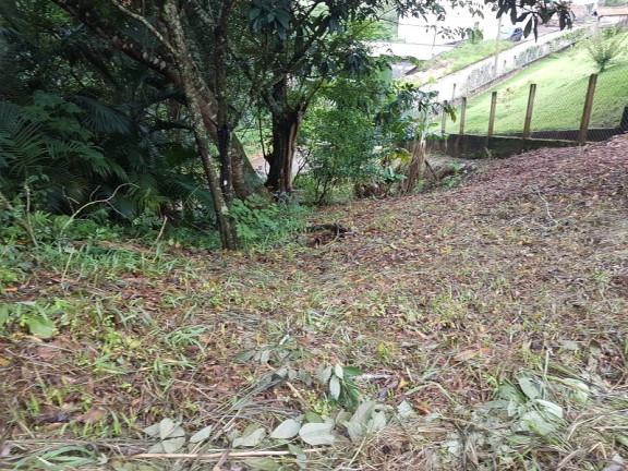 Imagem Imóvel à Venda, em Redenção Da Serra Imagem Imóvel à Venda, em Redenção Da Serra
