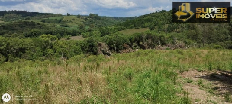 Imagem Imóvel com 4 Quartos à Venda, 150.000 m² em Zona Rural - Morro Redondo