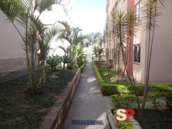 Imagem Apartamento com 2 Quartos à Venda, 47 m² em Jardim Umarizal - São Paulo Imagem Apartamento com 2 Quartos à Venda, 47 m² em Jardim Umarizal - São Paulo