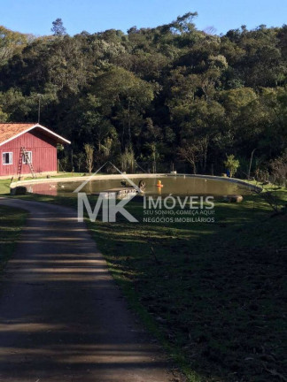 Imagem Chácara com 3 Quartos à Venda, em Piraquara Imagem Chácara com 3 Quartos à Venda, em Piraquara