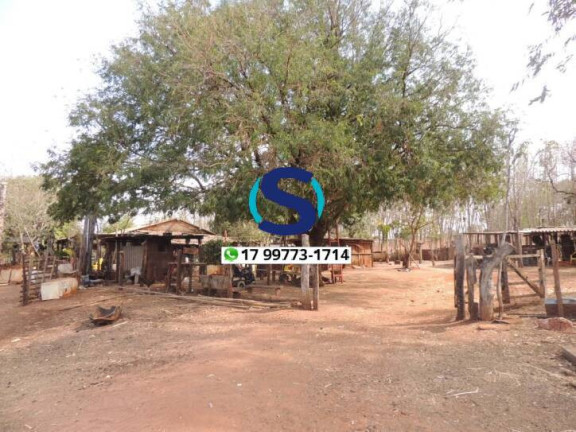 Imagem Chácara à Venda, 20.000 m² em Tupinambá - Indiaporã Imagem Chácara à Venda, 20.000 m² em Tupinambá - Indiaporã