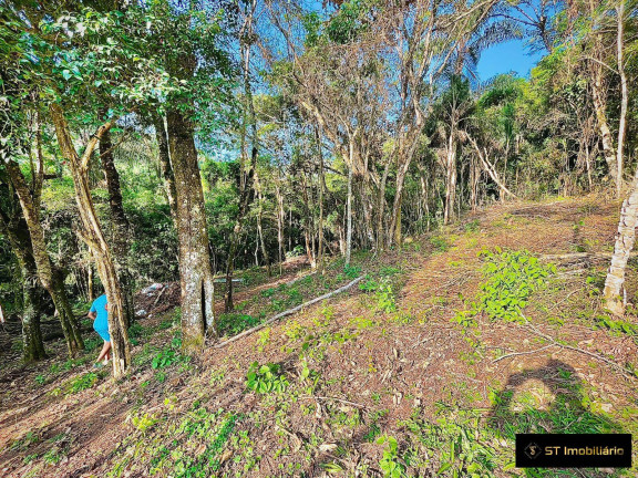 Imagem Chácara com 2 Quartos à Venda, 78.000 m² em Serra Da Cantareira - Mairiporã Imagem Chácara com 2 Quartos à Venda, 78.000 m² em Serra Da Cantareira - Mairiporã