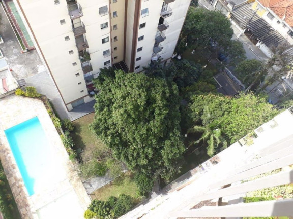 Imagem Apartamento com 2 Quartos à Venda, 55 m² em Vila Campestre - São Paulo