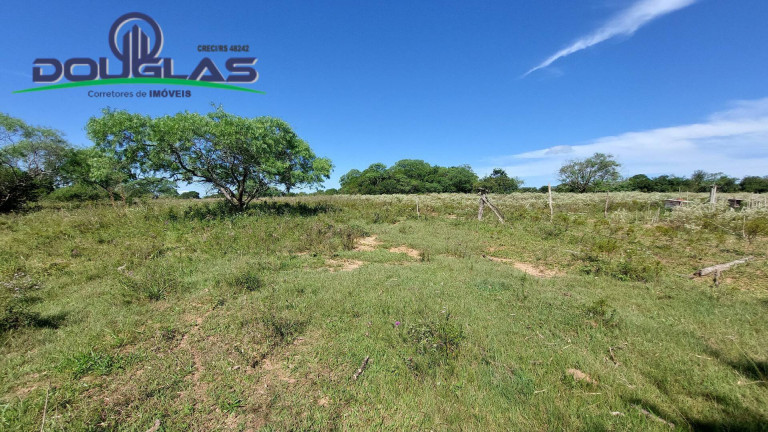 Imagem Chácara à Venda, em Viamão Imagem Chácara à Venda, em Viamão