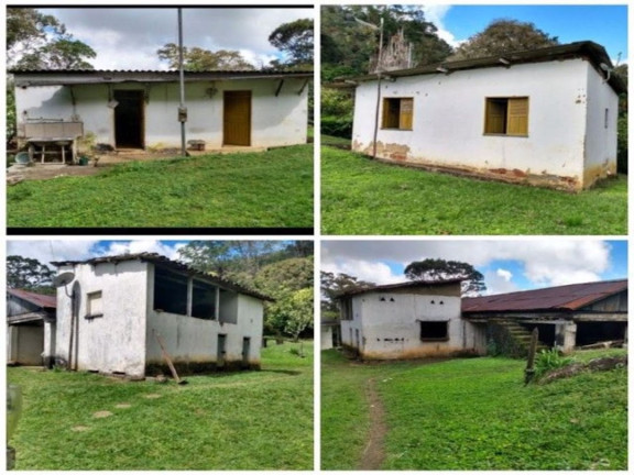 Imagem Fazenda à Venda, 139.000 m² em Jardim Savóia - Ilhéus Imagem Fazenda à Venda, 139.000 m² em Jardim Savóia - Ilhéus