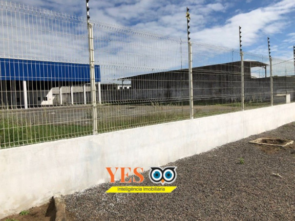 Imóvel para Alugar, 4.000 m² em Novo Horizonte - Feira De Santana