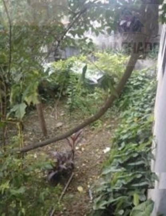 Imagem Casa com 3 Quartos à Venda, 281 m² em Jardim - Santo André