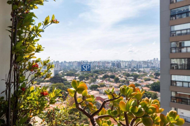 Imagem Apartamento com 4 Quartos à Venda, 233 m² em Campo Belo - São Paulo Imagem Apartamento com 4 Quartos à Venda, 233 m² em Campo Belo - São Paulo