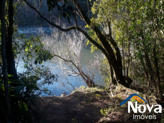 Imagem Imóvel à Venda, 60.000 m² em Linha Riachuelo - Nova Petrópolis