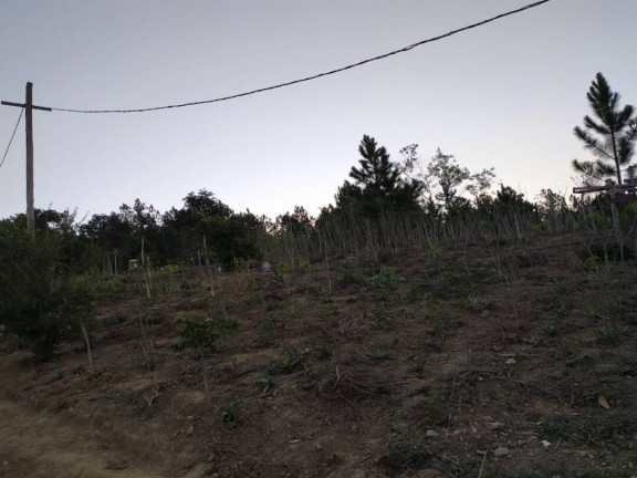 Imagem Chácara com 1 Quarto à Venda, 10 m² em Piraporão - Piedade