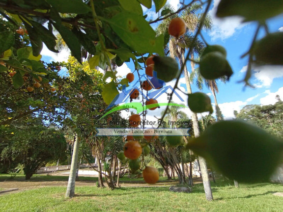 Imagem Chácara com 5 Quartos à Venda, 25 m² em Rosário - Atibaia Imagem Chácara com 5 Quartos à Venda, 25 m² em Rosário - Atibaia