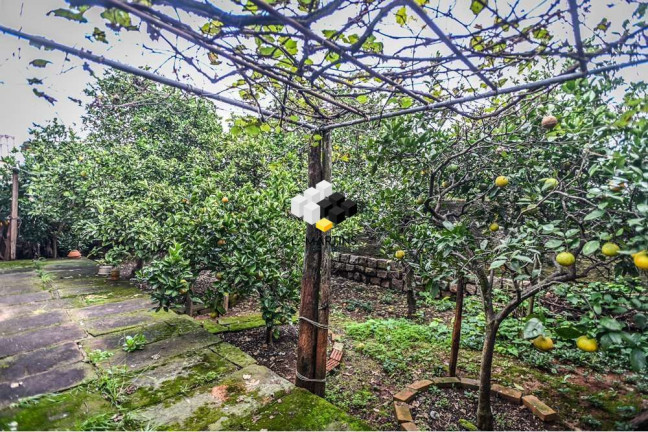 Imagem Casa de Condomínio com 3 Quartos à Venda, 100 m² em Santa Tereza - Porto Alegre