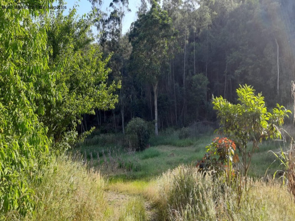 Imagem Terreno à Venda, em Bavaria - Nova Petrópolis Imagem Terreno à Venda, em Bavaria - Nova Petrópolis
