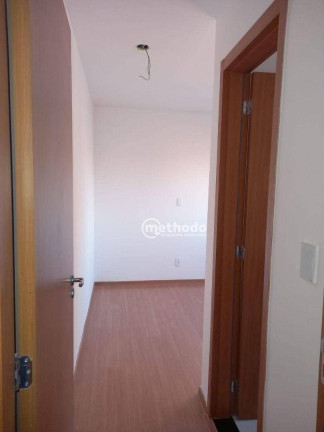 Imagem Apartamento com 2 Quartos à Venda, 54 m² em Jardim Nova Europa - Campinas Imagem Apartamento com 2 Quartos à Venda, 54 m² em Jardim Nova Europa - Campinas