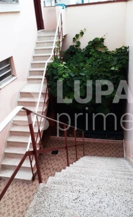 Imagem Casa com 3 Quartos à Venda, 240 m² em Santana - São Paulo
