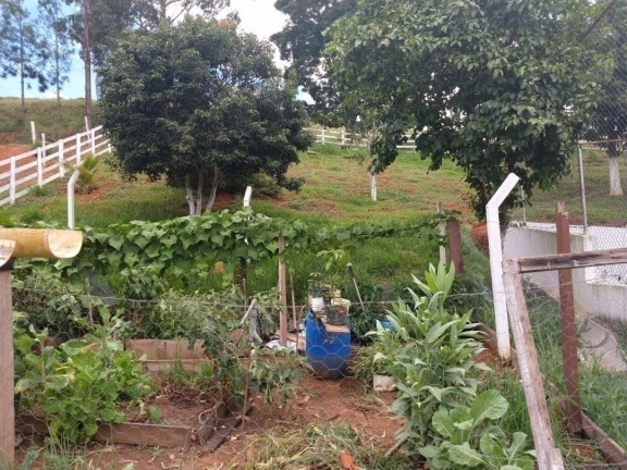 Imagem Chácara com 8 Quartos à Venda, 300 m² em Freitas - São José Dos Campos Imagem Chácara com 8 Quartos à Venda, 300 m² em Freitas - São José Dos Campos