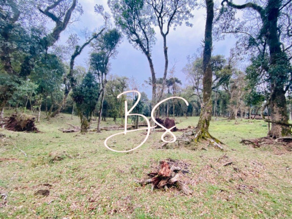 Imagem Terreno à Venda, 48.300 m² em Mato Queimado - Gramado Imagem Terreno à Venda, 48.300 m² em Mato Queimado - Gramado