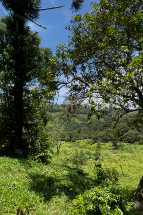 Chácara à Venda,  em Paiol Velho - São Bento Do Sapucaí